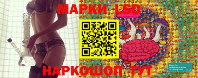 ешки Майкоп