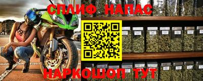 ешки Майкоп