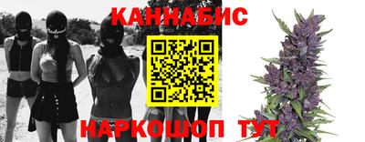 сатива Магнитогорск
